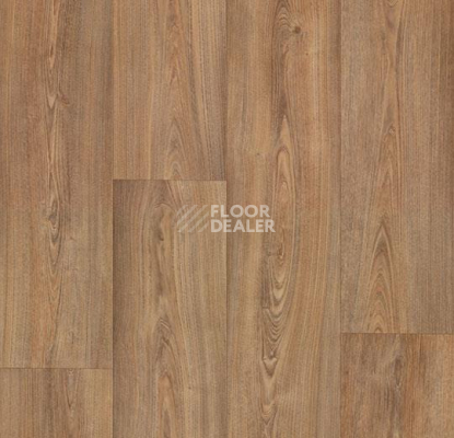 Линолеум Forbo Eternal Wood 10362 warm chestnut фото 1 | FLOORDEALER